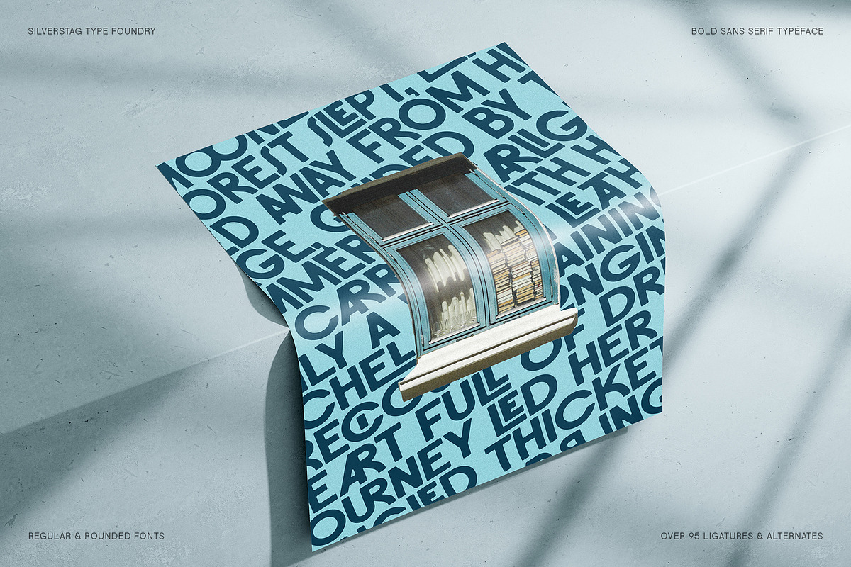 FlyBridge - Bold Ligature Rich Sans, a Sans Serif Font by SilverStag Type Foundry (Photo 4 of 30)