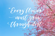 Maida Valley - Handwritten Font, a Script Font by erlosDESIGN (Thumbnail 7 of 14)