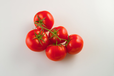 Red tomatoes fresh harvest on a whit stock photo containing vegetable and, a Food & Drink Photo by oleghz