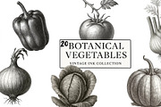 20 Botanical Vegetables Vintage Ink, a Food Illustration by Virgo Studio (Thumbnail 1 of 8)