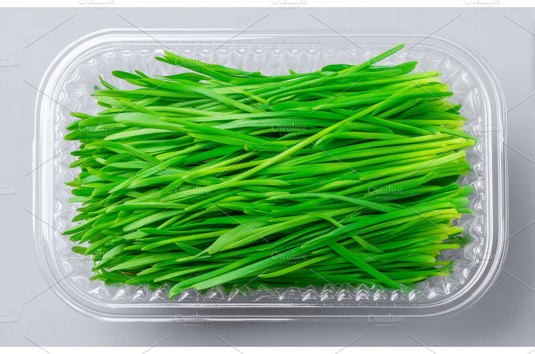 Closeup of microgreens as they are, a Food & Drink Photo by ZinetroN