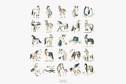 horse clipart horse illustration set, an Illustration by Patishop Art (Thumbnail 7 of 10)