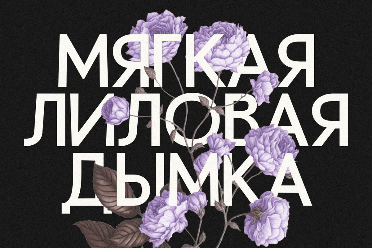Girtyne - Modern Sans Family, a Sans Serif Font by Prioritype Co (Photo 4 of 11)