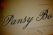 Pansy Bo, a Script Font by Dharma Type (Thumbnail 1 of 10)