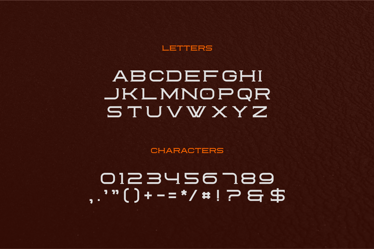 Reoctions Font, a Serif Font by brahamb_design (Photo 4 of 5)