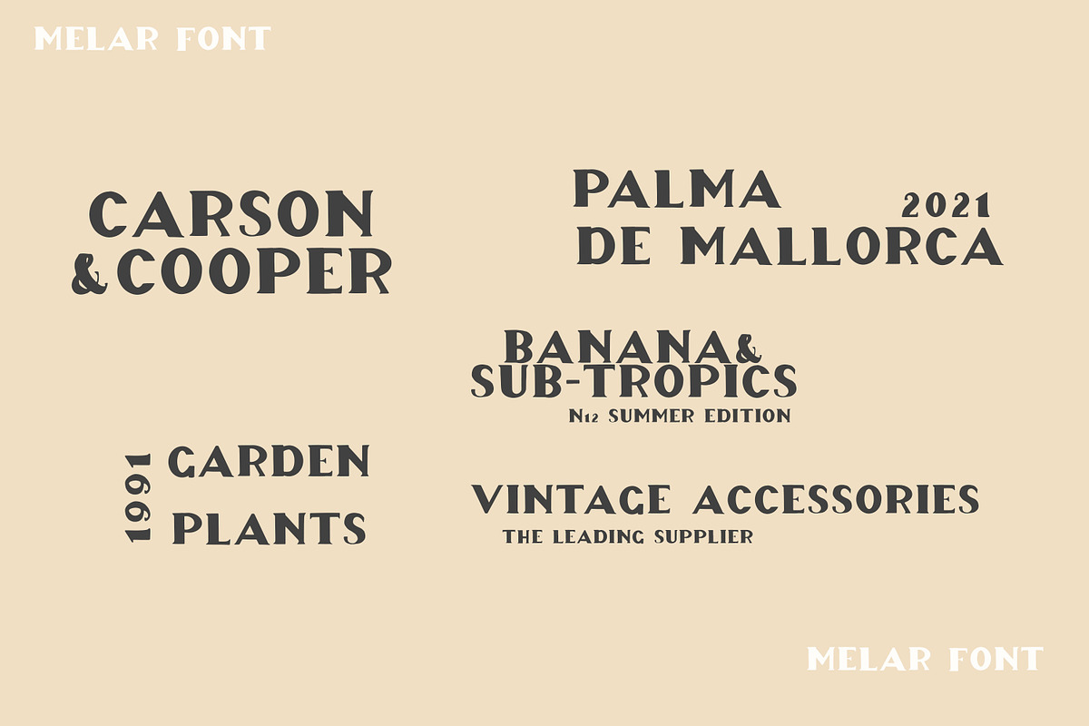 Melar - a hand drawn serif font, a Serif Font by Art pages (Photo 6 of 14)