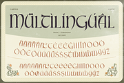 Cartius, a Serif Font by Burntilldead (Thumbnail 11 of 12)