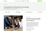 Accounting and Management Consulting, a WordPress Template by MasterDesigns (Thumbnail 2 of 10)