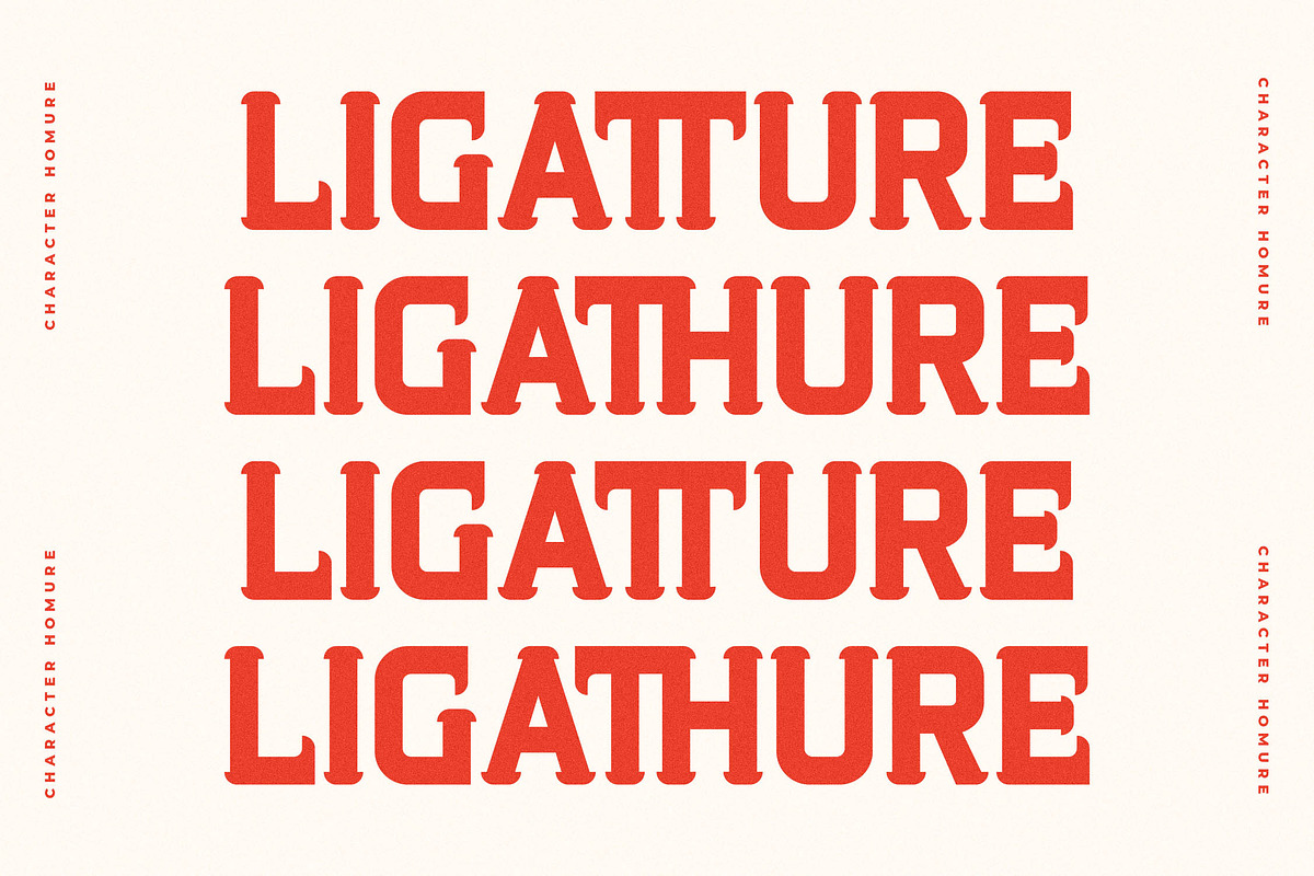 Homure New Display Serif Font, a Serif Font by Storytype Studio (Photo 10 of 15)