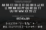 Simple Subject, a Serif Font by FreshTypeINK (Thumbnail 4 of 8)