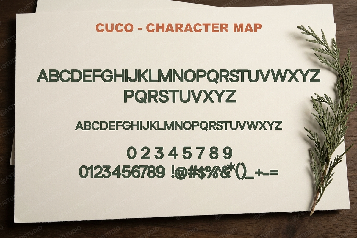 Cuco | An Elegant Sans Serif Typefac, a Serif Font by Astuti Studio (Photo 3 of 24)