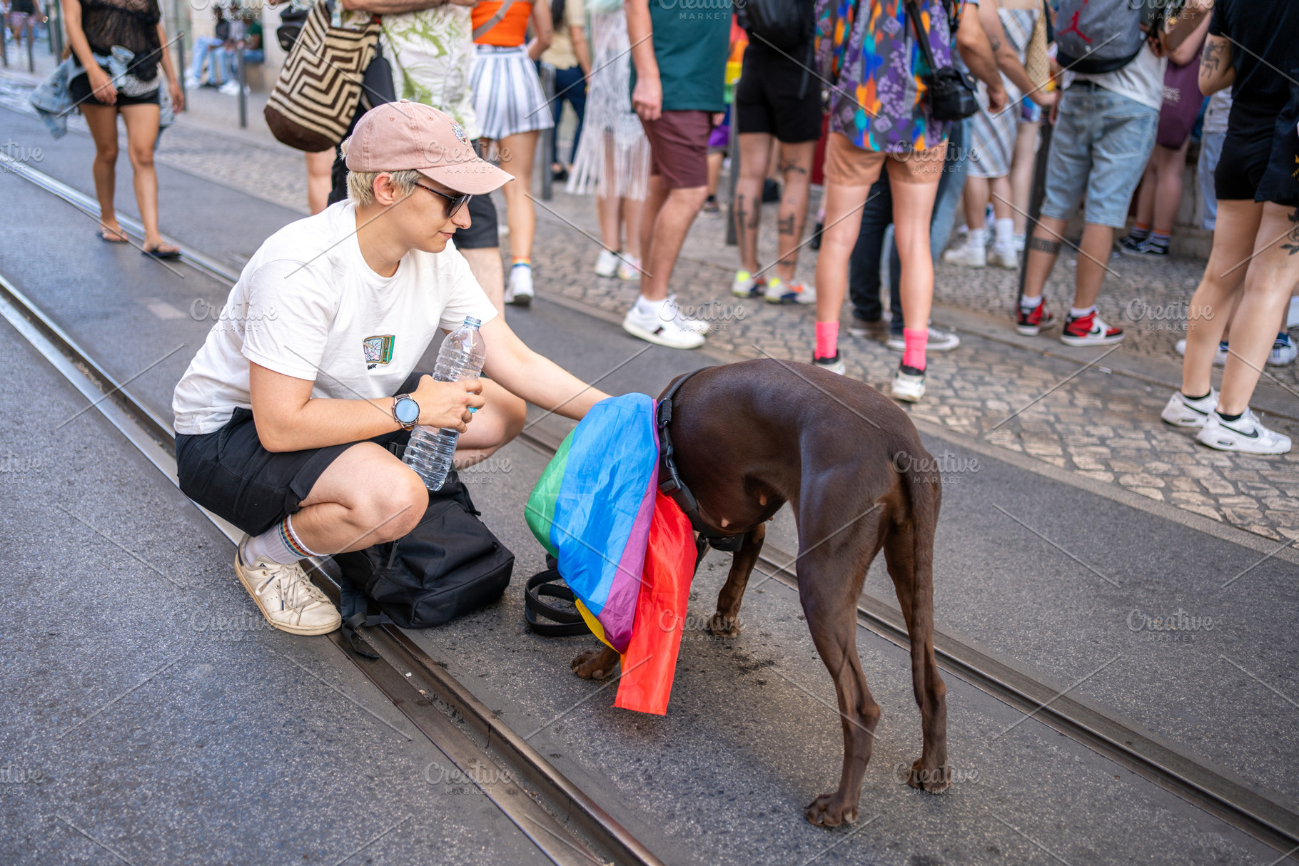 Woman covering dog with rainbow flag on tramway during pride parade, a Person Photo by andreonegin market
