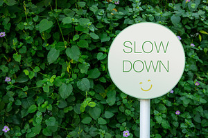 Round SLOW DOWN sign with a smiley face stands against dense gre, a Photo by salmon.black