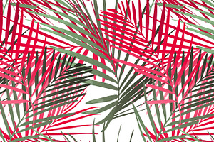 Tropical Patterns & Set VECTOR