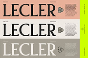 Pavilion Serif Typeface, a Serif Font by God Control (Thumbnail 5 of 12)