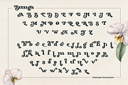Bunga, a Serif Font by Burntilldead (Thumbnail 7 of 14)