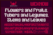 Garden Oracle Font, a Sans Serif Font by weknow (Thumbnail 3 of 8)
