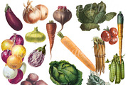 Vintage Vegetable Set 2, a Graphic by Digital Vintage (Thumbnail 2 of 2)