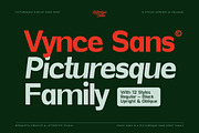 Vynce Sans Picturesque Family, a Sans Serif Font by Lettertype Studio (Thumbnail 1 of 15)