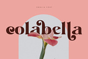 Denlia - Modern Serif, a Serif Font by Khoir (Thumbnail 8 of 11)