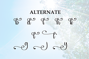 Bright Monday | Script Font, a Handwritten Font by Scratchones (Thumbnail 8 of 9)