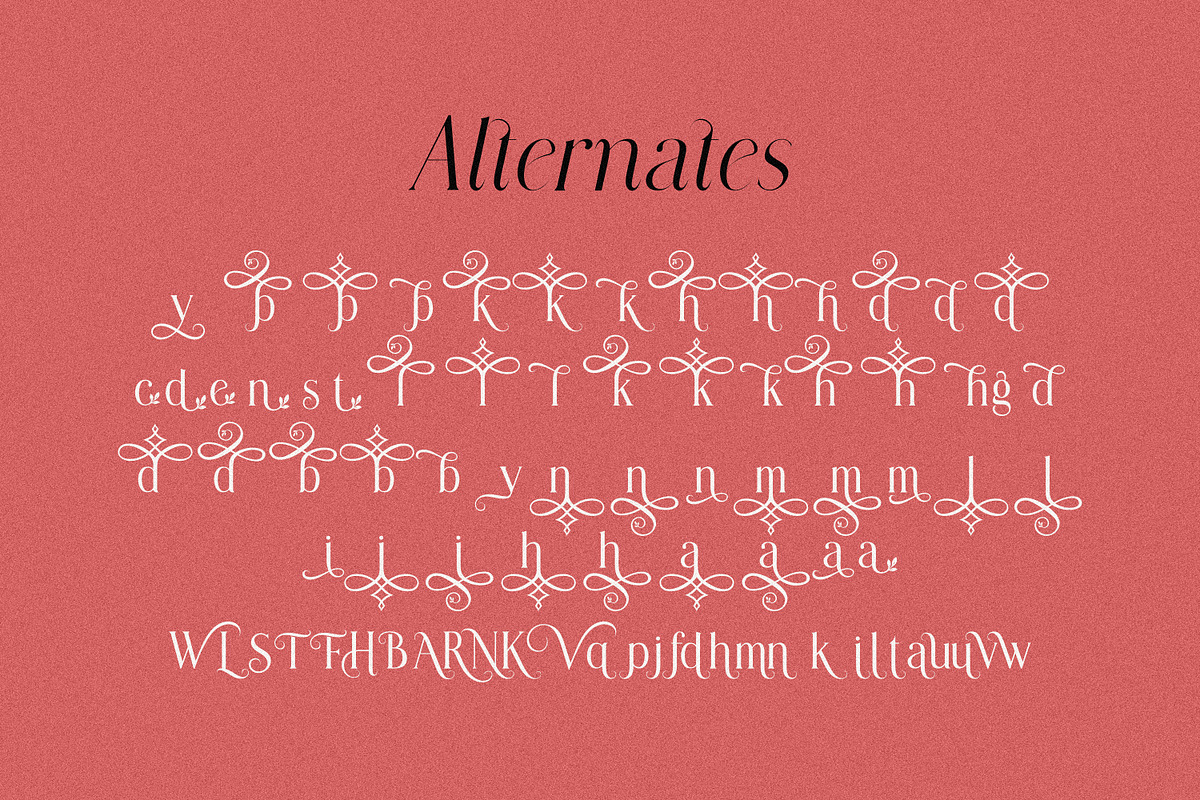 Modern Chic Refined – Elegant Serif, a Serif Font by MaxArt Foundry (Photo 19 of 20)