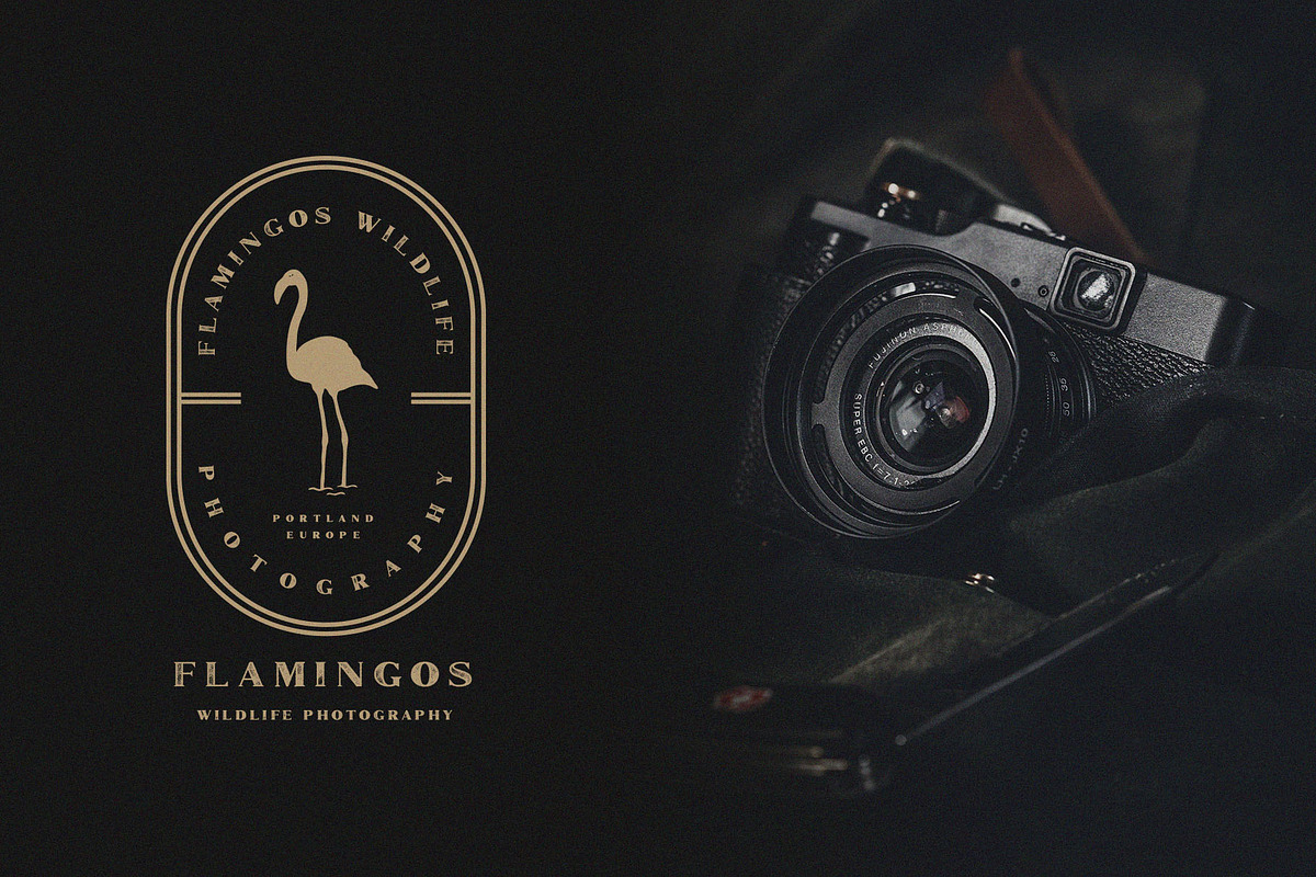 Marques Vintage Font Family + Extras preview 8