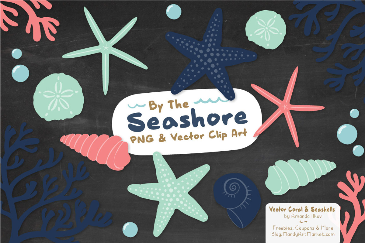 Modern Chic Vector Seashells, an Illustration by Amanda Ilkov (Photo 3 of 5)