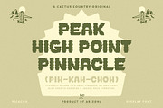 Picacho Display Font, a Sans Serif Font by Cactus Country (Thumbnail 5 of 6)