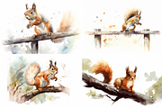 Squirrels Watercolor Collection, an Animal Illustration by artsy-fartsy (Thumbnail 4 of 6)