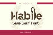 Habile – Sans Serif Font, a Sans Serif Font by NDNL Studio (Thumbnail 1 of 6)