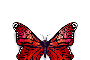 Beautiful Red Detailed Butterfly