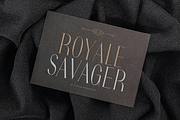 Noctaire - Modern Serif, a Serif Font by Sronstudio (Thumbnail 2 of 18)