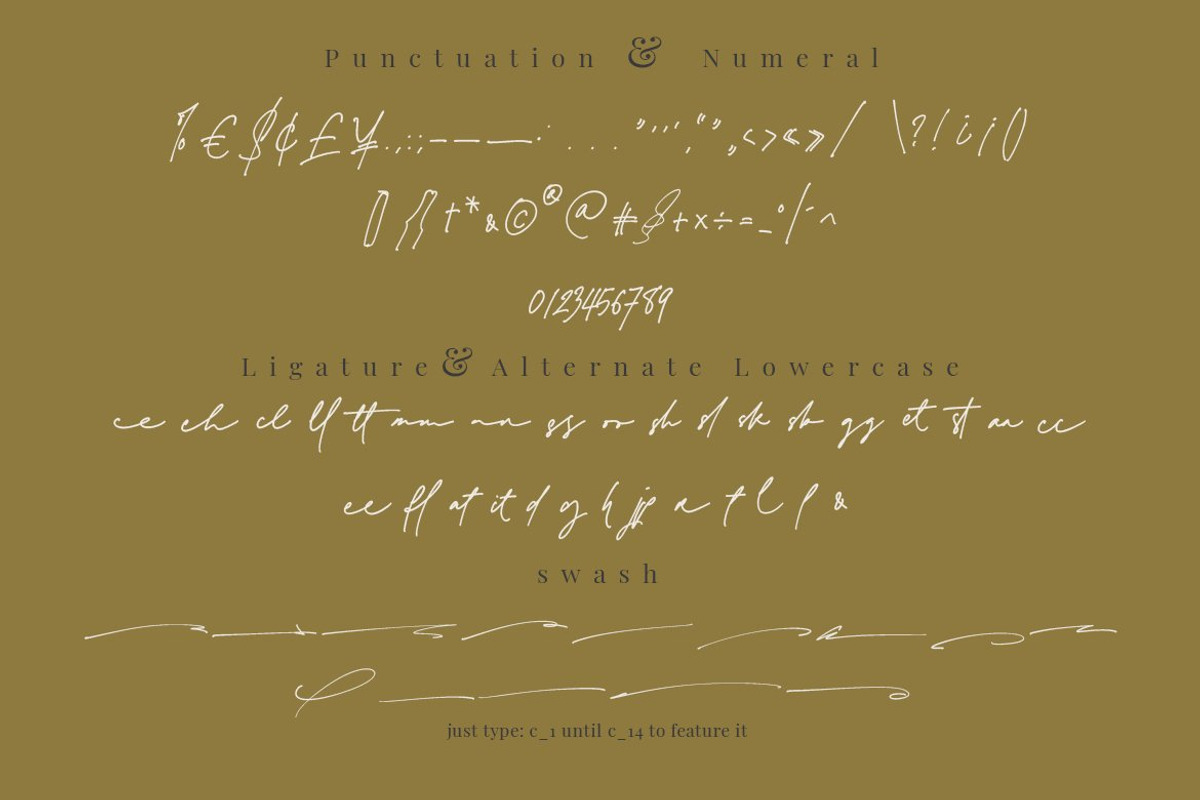 Jim Sintergate - Elegant Signature, a Script Font by Walkeren (Photo 14 of 16)
