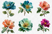 Wild Roses Clipart, an Illustration by Designworld (Thumbnail 6 of 6)