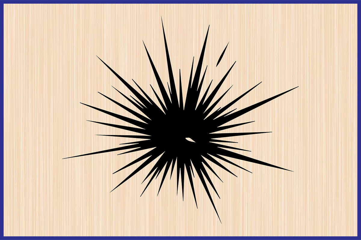 12 Festive Firework Burst Silhouette, a Decorative Illustration by Artivon (Photo 4 of 4)