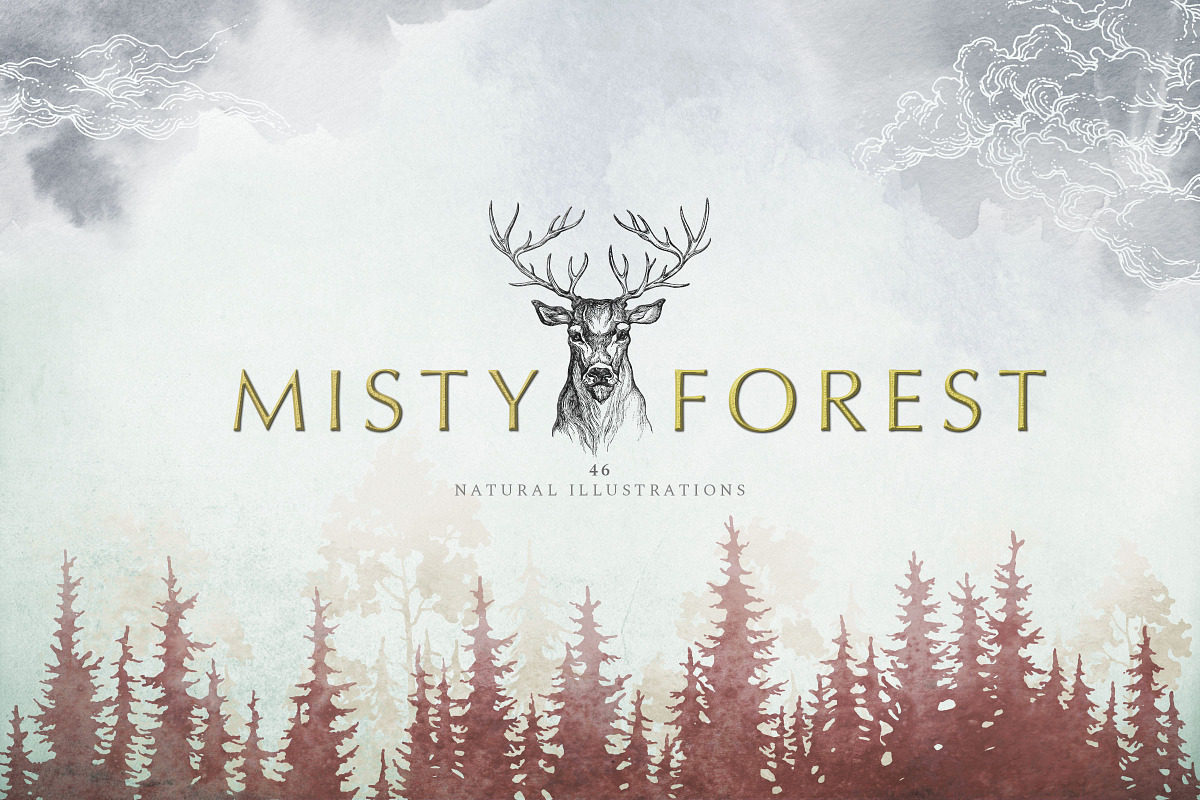 Misty Forest Collection, an Animal Illustration by Michael Rayback Design (Photo 1 of 7)