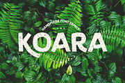 Koara / handmade font family, a Script Font by Rosario Nocera (Thumbnail 1 of 8)
