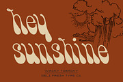 Wacky Tobacky: A Psychedelic Script, a Script Font by DeliFreshTypeCo. (Thumbnail 3 of 10)