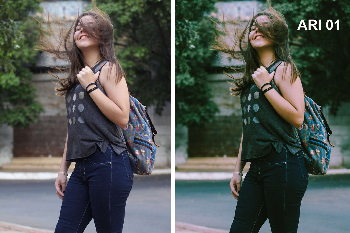 Ariel Bourgoing Presets Film & Moody, an Action Add-On by Bourgoing Presets (Photo 2 of 11)