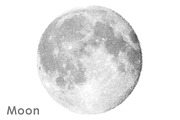 Moon vector set., an Object Graphic by xgart (Thumbnail 1 of 5)