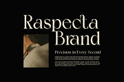 Ciesla Elegant Serif Font, a Serif Font by Graphicxell (Thumbnail 6 of 8)