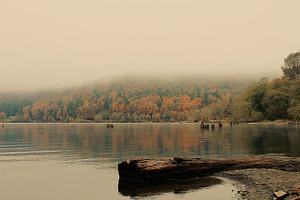 Foggy Fall Morning on the Lake