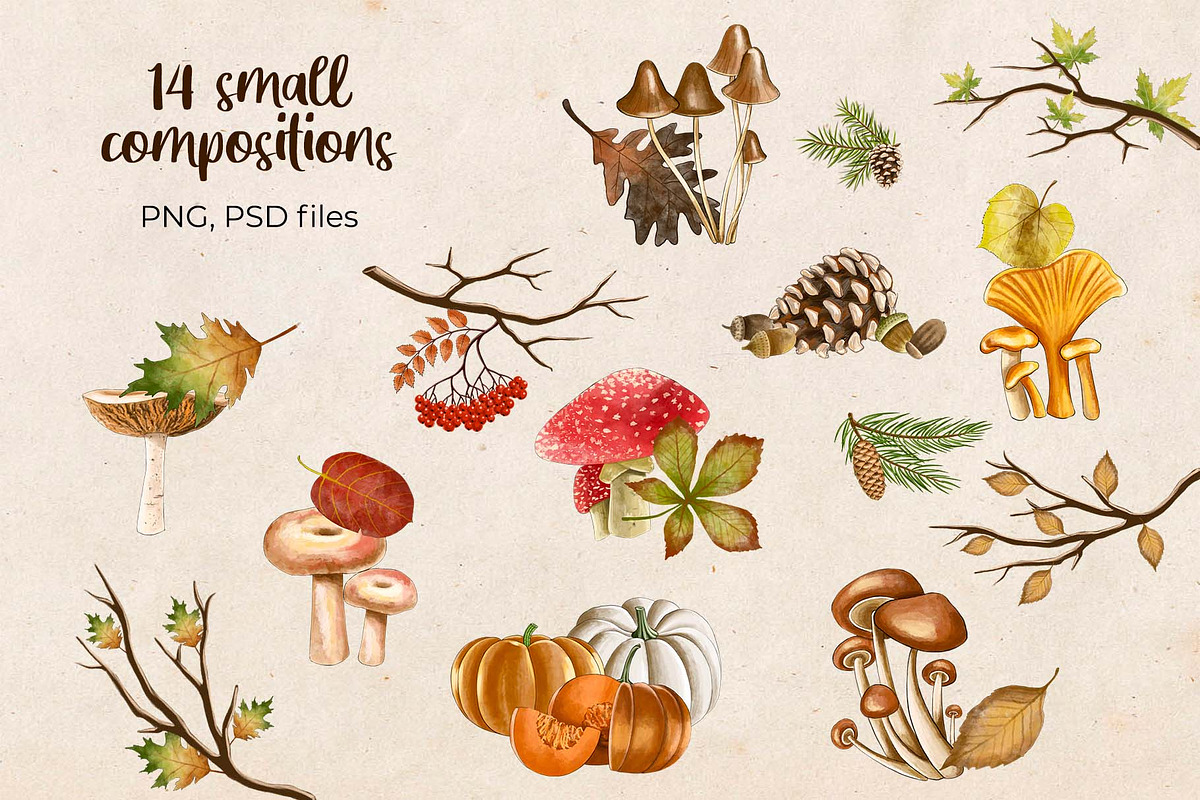 Autumn Watercolor clipart, a Seasonal Illustration by OZartRoom (Photo 10 of 11)