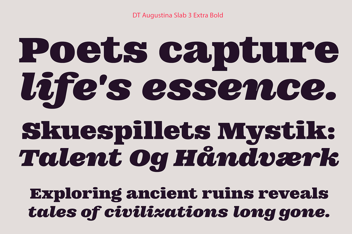 DT Augustina Slab 3 Subfamily, a Slab Serif Font by Deveze Type Foundry (Photo 16 of 31)