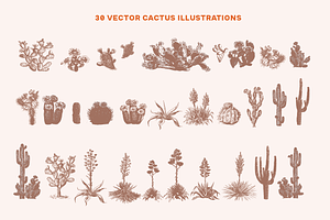 Vintage Cactus Vector Graphics