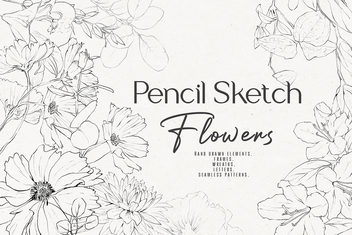 Pencil-drawn flowers, a Decorative Illustration by Damian Roh (Photo 1 of 21)