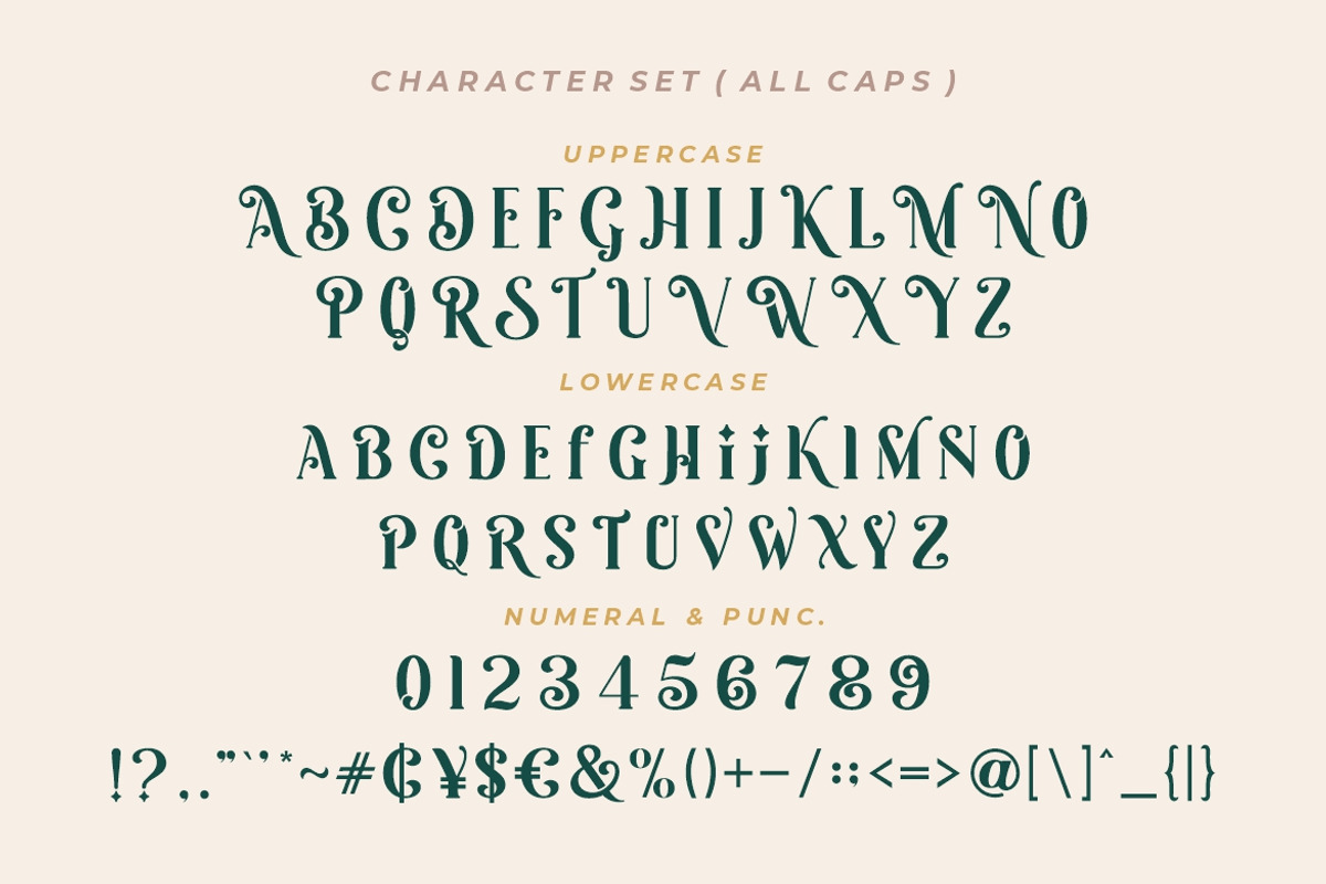 Mercy Christole Font, a Serif Font by Burhan Afif (Photo 9 of 10)