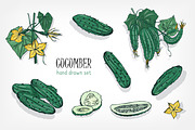 Different cucumbers, hand-drawn set, a Food Illustration by Good Studio (Thumbnail 1 of 5)