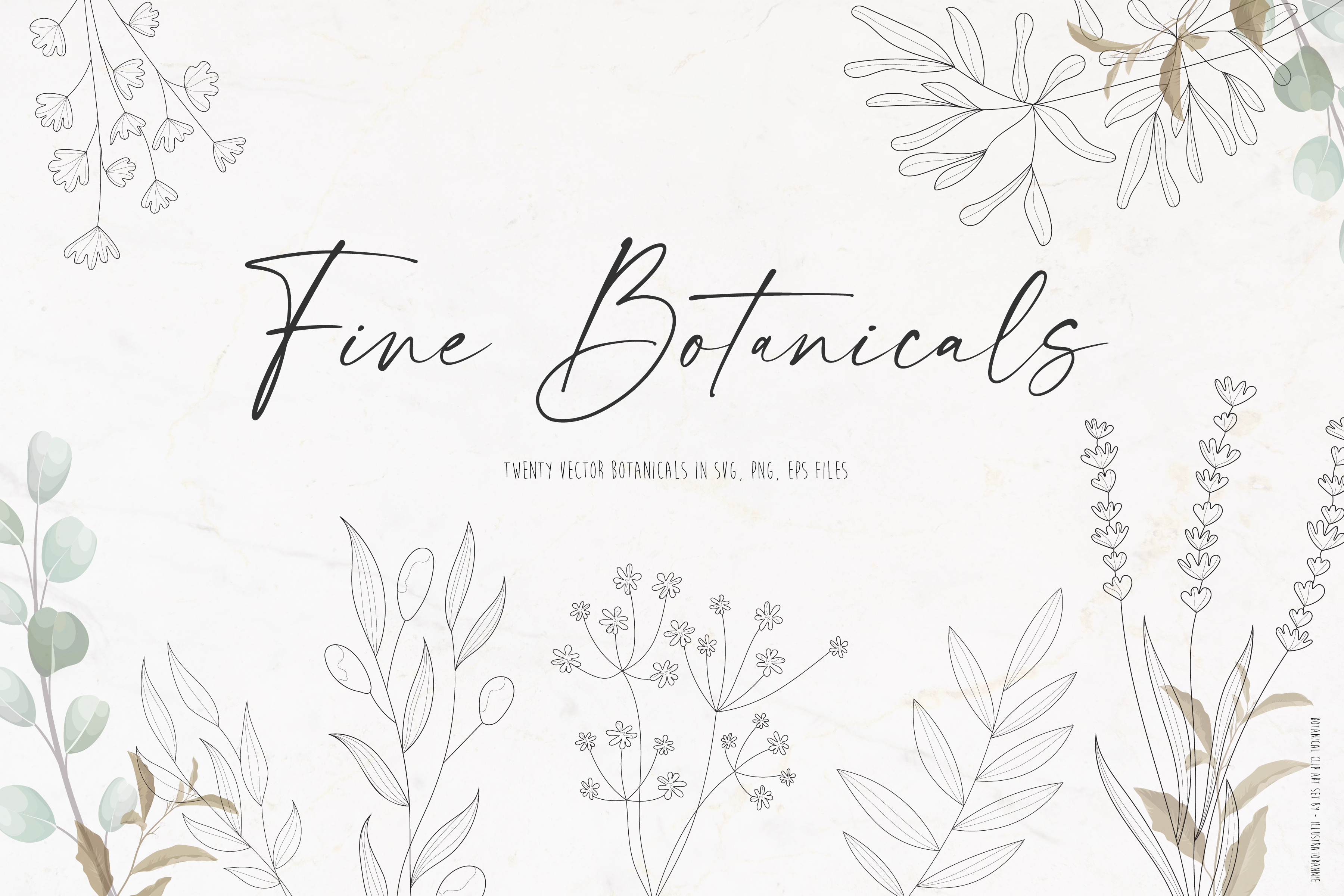 Botanical Clipart Set, an Illustration by IllustratorAnnie